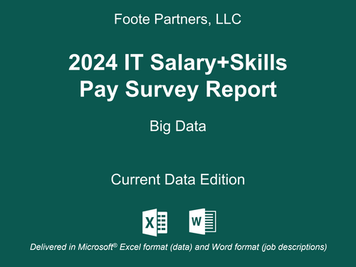 2024 IT Salary+Skills Pay Survey Report: Big Data Analytics